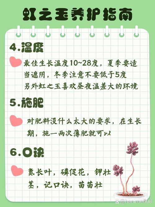 虹之玉夏天怎么养？虹之玉夏天的养殖方法和注意事项？