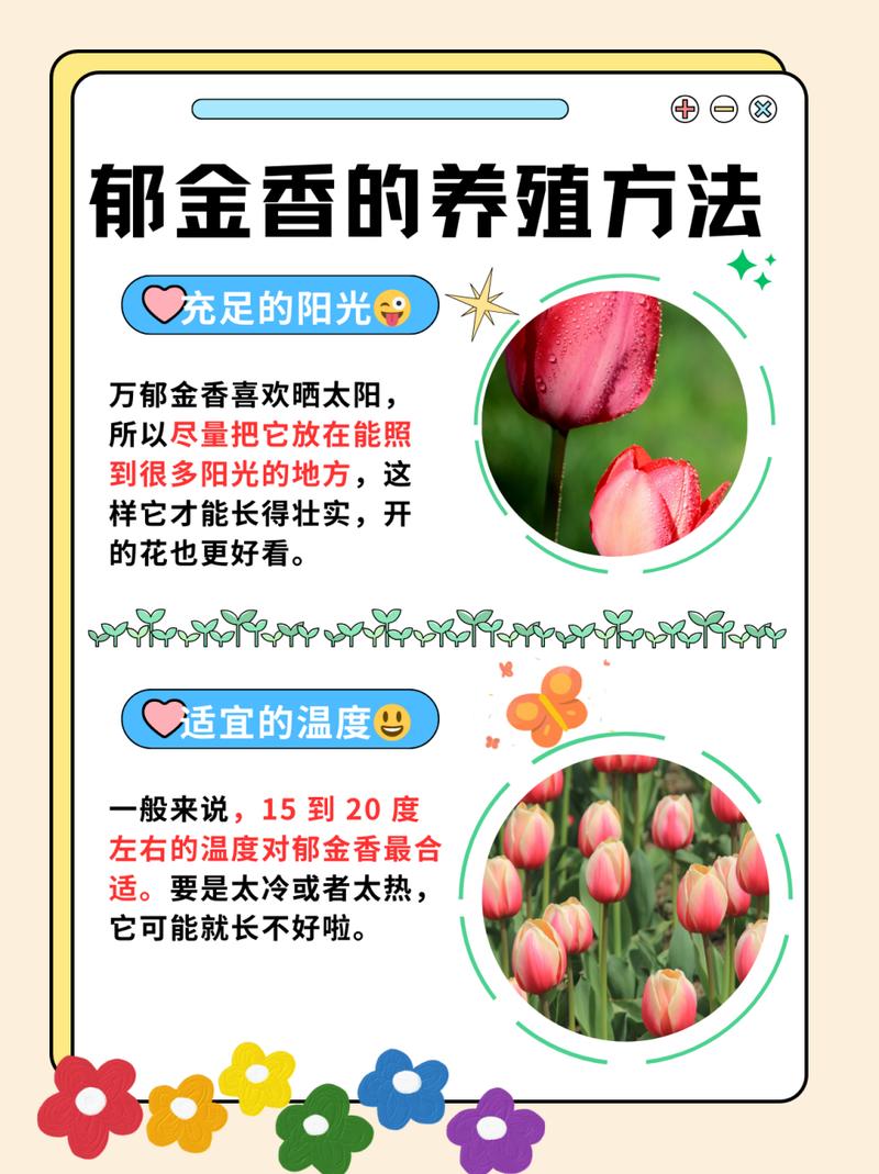 郁金香播种季节，郁金香什么季节播种-第5张图片-优品飞百科
