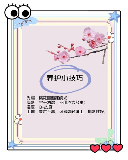 桃花种子怎么种,桃花种子怎么种植视频?-第2张图片-优品飞百科 桃花种子怎么种,桃花种子怎么种植视频?-第2张图片-优品飞百科