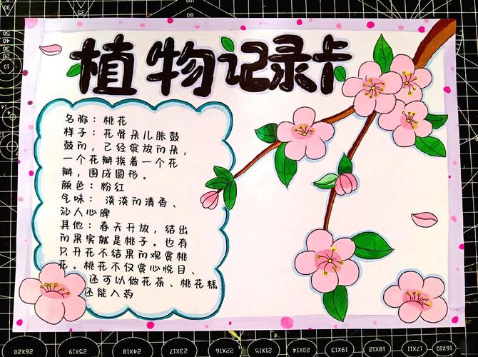 桃花种子怎么种,桃花种子怎么种植视频?-第3张图片-优品飞百科 桃花种子怎么种,桃花种子怎么种植视频?-第3张图片-优品飞百科