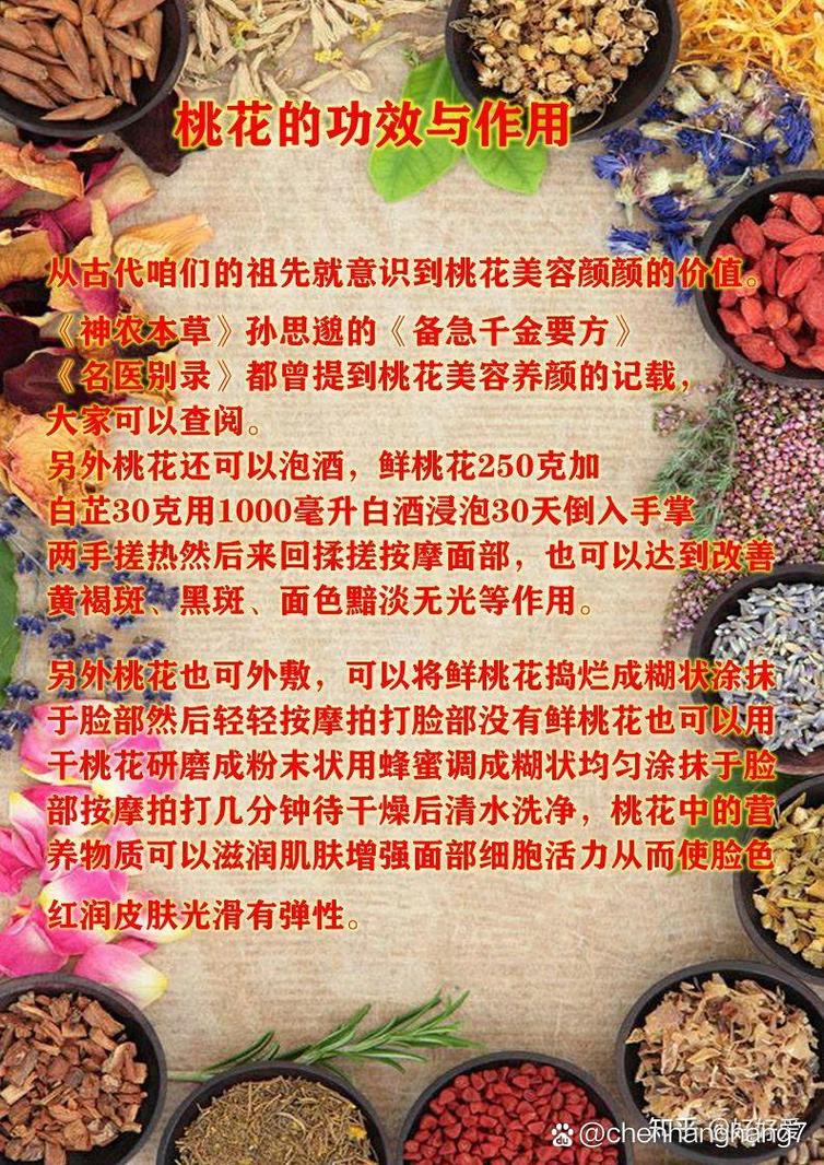桃花种子怎么种,桃花种子怎么种植视频?-第5张图片-优品飞百科 桃花种子怎么种,桃花种子怎么种植视频?-第5张图片-优品飞百科