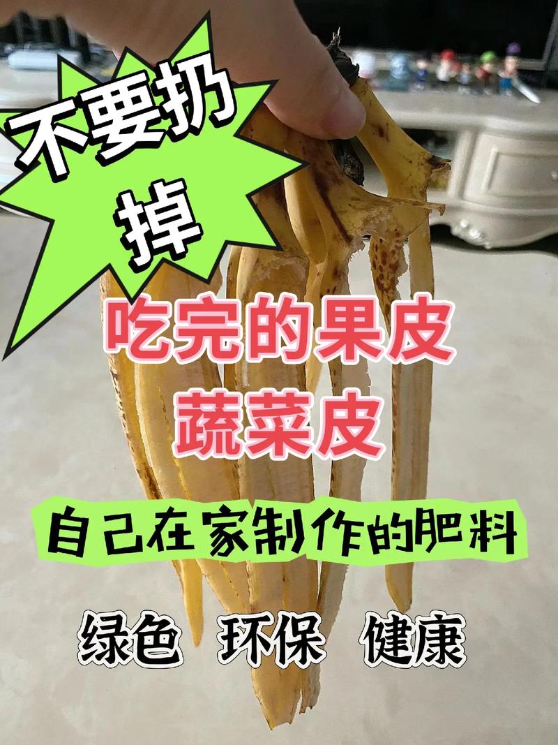 入秋后赶紧撒把种子，什么种子入秋后才发芽？-第6张图片-优品飞百科