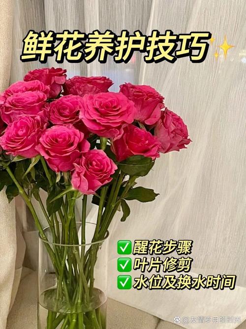 冬季鲜花养护的方法？冬天鲜花怎么养时间比较久？-第2张图片-优品飞百科