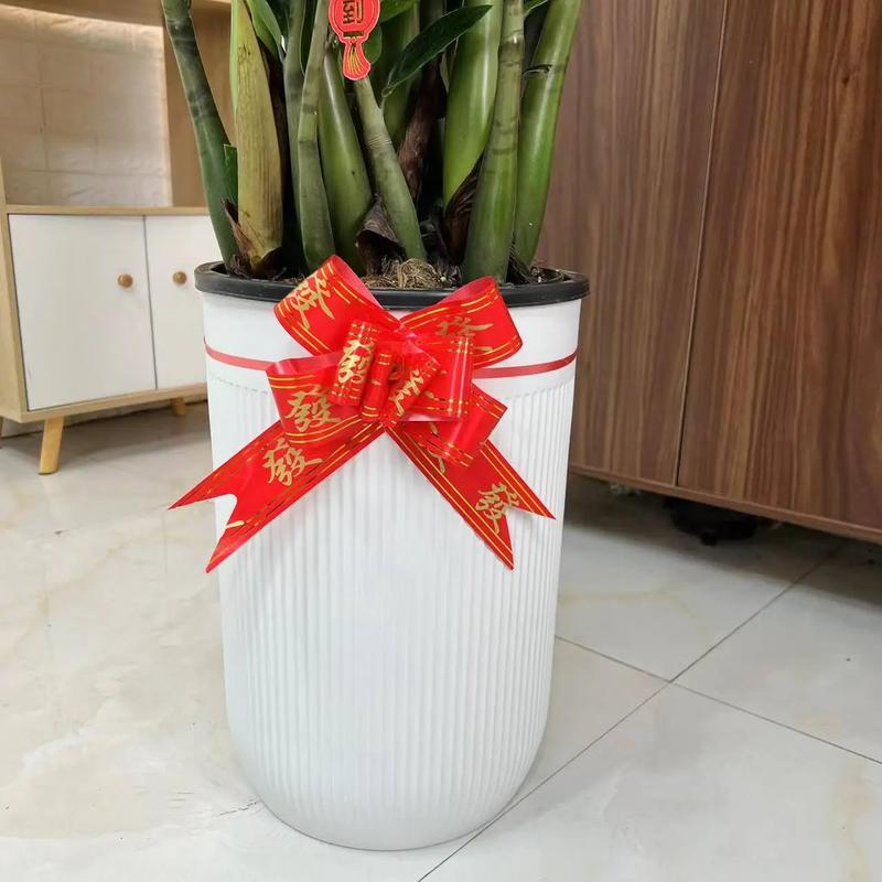 金钱树适合什么花盆，金钱树适合什么样的花盆好看图片？