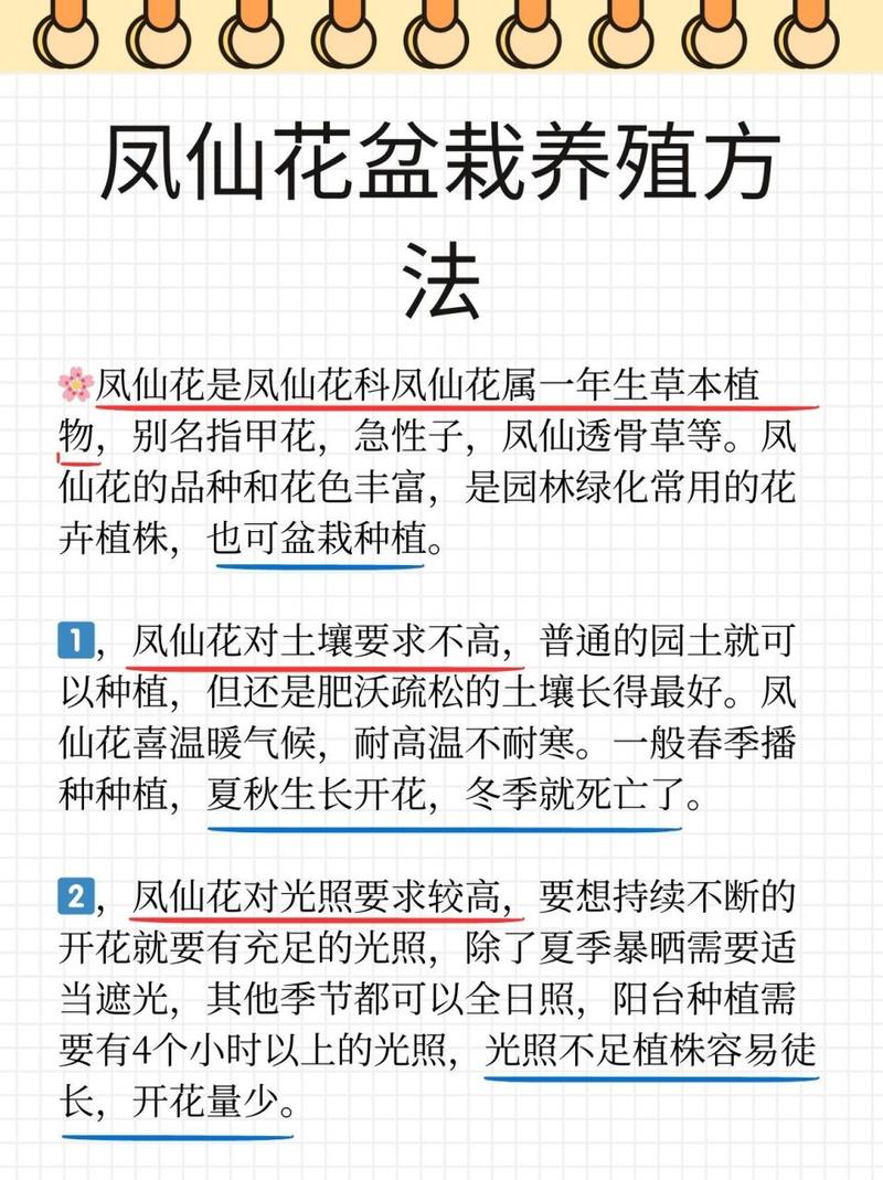 茶花凤仙花种子怎么种？茶花凤仙花和凤仙花有区别吗？-第4张图片-优品飞百科