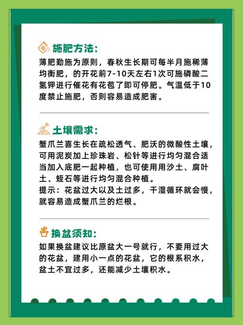 蟹爪兰有花苞怎么养?蟹爪兰有了花苞后怎么管理?-第3张图片-优品飞百科 蟹爪兰有花苞怎么养?蟹爪兰有了花苞后怎么管理?-第3张图片-优品飞百科