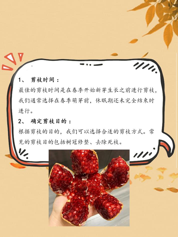 石榴树什么时候剪枝，石榴树什么时候剪枝合适-第7张图片-优品飞百科