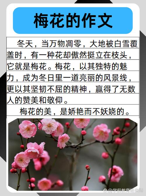 梅花如何过冬，梅花怎么过冬天-第6张图片-优品飞百科