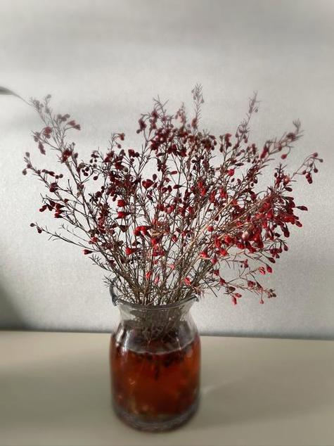 花快死了也别扔?花快要死了用什么词来形容?-第2张图片-优品飞百科 花快死了也别扔?花快要死了用什么词来形容?-第2张图片-优品飞百科