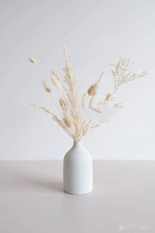 自制芦苇干花？自制芦苇干花染色？-第2张图片-优品飞百科
