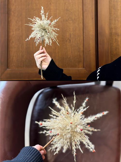 自制芦苇干花？自制芦苇干花染色？-第5张图片-优品飞百科