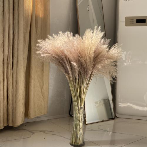 自制芦苇干花？自制芦苇干花染色？-第6张图片-优品飞百科