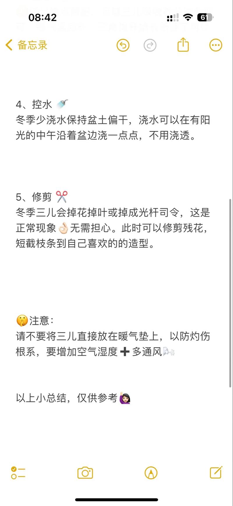 三角梅冬季养护方法?三角梅冬季养护管理方法?-第4张图片-优品飞百科 三角梅冬季养护方法?三角梅冬季养护管理方法?-第4张图片-优品飞百科