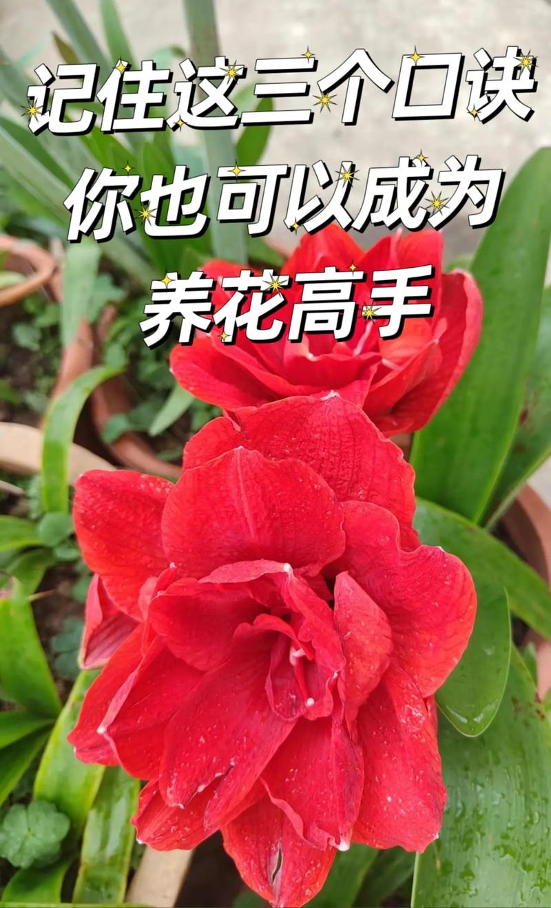 用了老花农给的偏方，农村治老花偏方