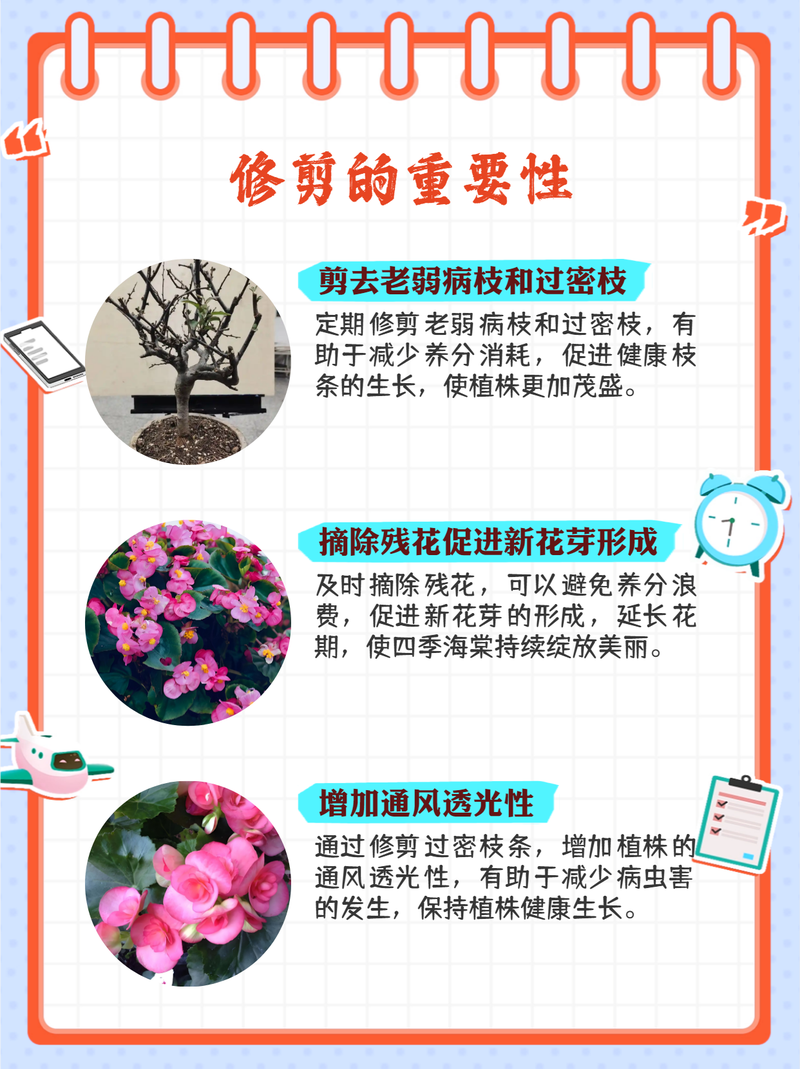 新买的海棠怎么养，新买的海棠花如何管理？-第6张图片-优品飞百科