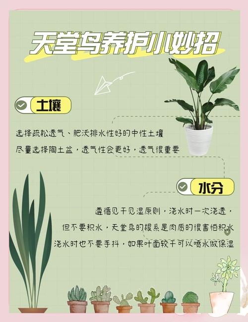 怎样才能把植物养好，怎样把植物养的常茂盛？