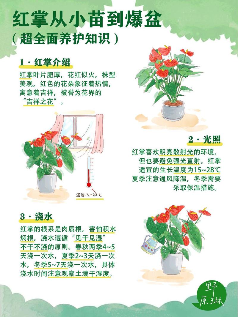 怎样才能把植物养好,怎样把植物养的常茂盛?-第7张图片-优品飞百科 怎样才能把植物养好,怎样把植物养的常茂盛?-第7张图片-优品飞百科