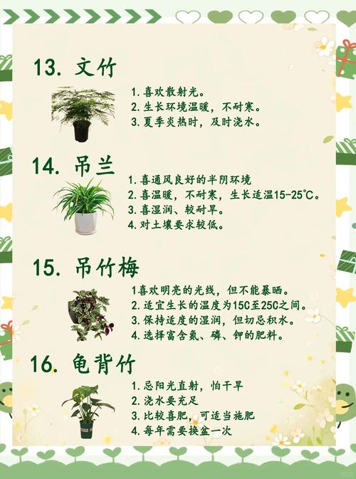 怎样才能把植物养好,怎样把植物养的常茂盛?-第8张图片-优品飞百科 怎样才能把植物养好,怎样把植物养的常茂盛?-第8张图片-优品飞百科