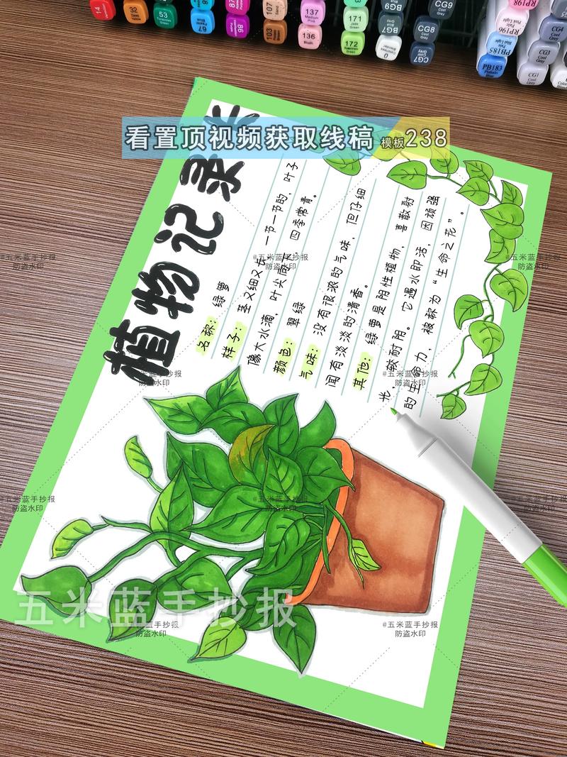 水培绿萝用什么营养液?水培绿萝用什么水好?-第3张图片-优品飞百科 水培绿萝用什么营养液?水培绿萝用什么水好?-第3张图片-优品飞百科