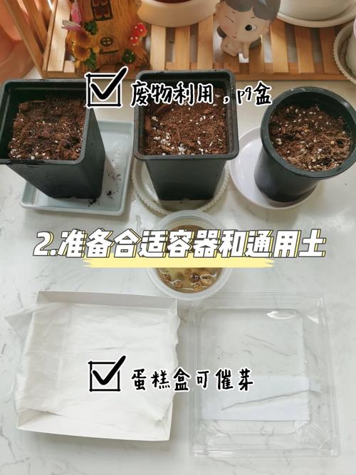 旱金莲秋天怎么养，旱金莲怎么度夏-第5张图片-优品飞百科