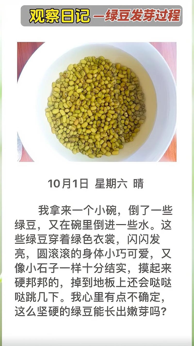 绿豆怎么发芽最快？绿豆怎么发芽最快方法？-第1张图片-优品飞百科