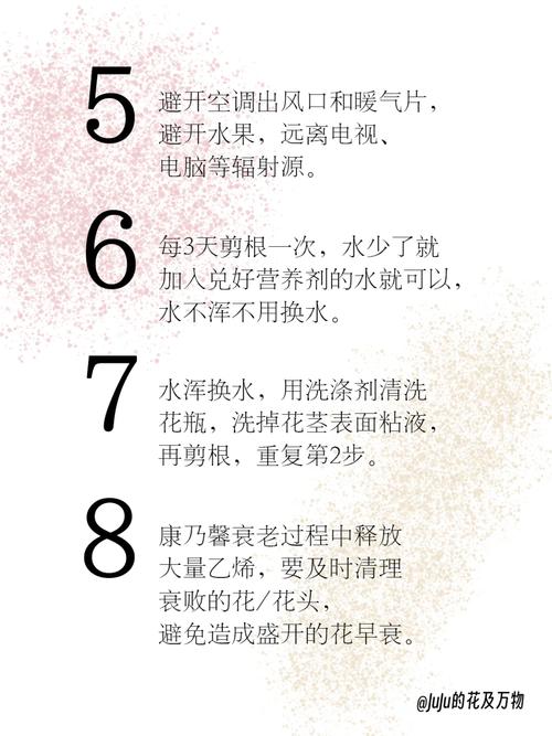 康乃馨的养殖方法和注意事项?康乃馨种子的种植方法和时间?-第2张图片-优品飞百科 康乃馨的养殖方法和注意事项?康乃馨种子的种植方法和时间?-第2张图片-优品飞百科
