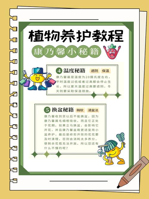 康乃馨的养殖方法和注意事项?康乃馨种子的种植方法和时间?-第4张图片-优品飞百科 康乃馨的养殖方法和注意事项?康乃馨种子的种植方法和时间?-第4张图片-优品飞百科