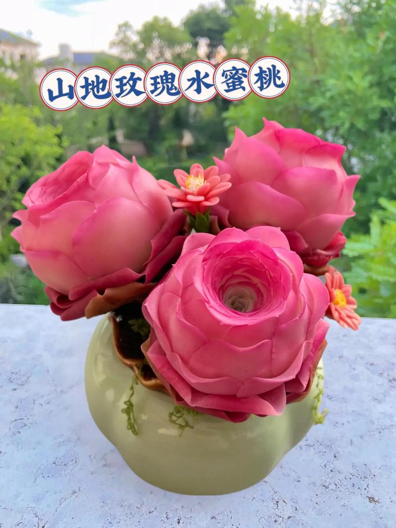 山地玫瑰怎么发根，山地玫瑰如何修根