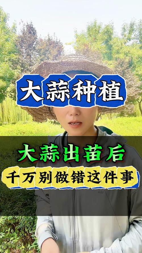 大蒜种植时间？大蒜种植时间和方法百度百科？-第1张图片-优品飞百科
