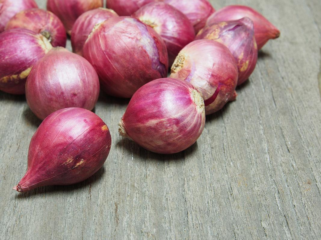 大蒜种植时间？大蒜种植时间和方法百度百科？-第6张图片-优品飞百科