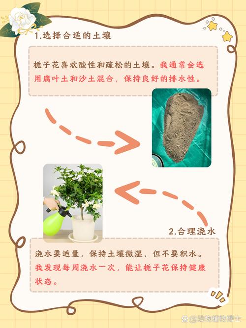 栀子花冬天怎么养，栀子花冬天怎么养才能安全过冬?比较好方法-第2张图片-优品飞百科