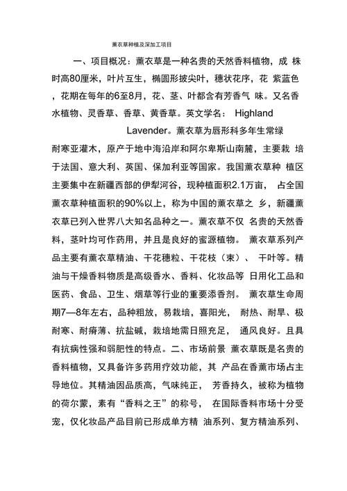 薰衣草怎么种，薰衣草怎么种植的视频教程？-第6张图片-优品飞百科