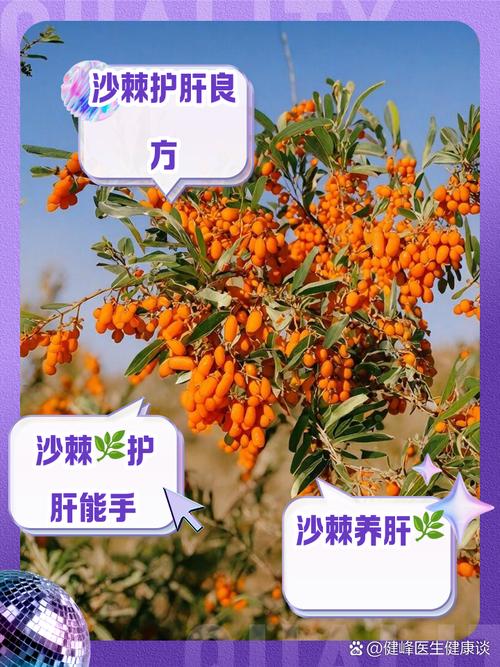 沙棘繁殖方法，沙棘育种与栽培？-第3张图片-优品飞百科