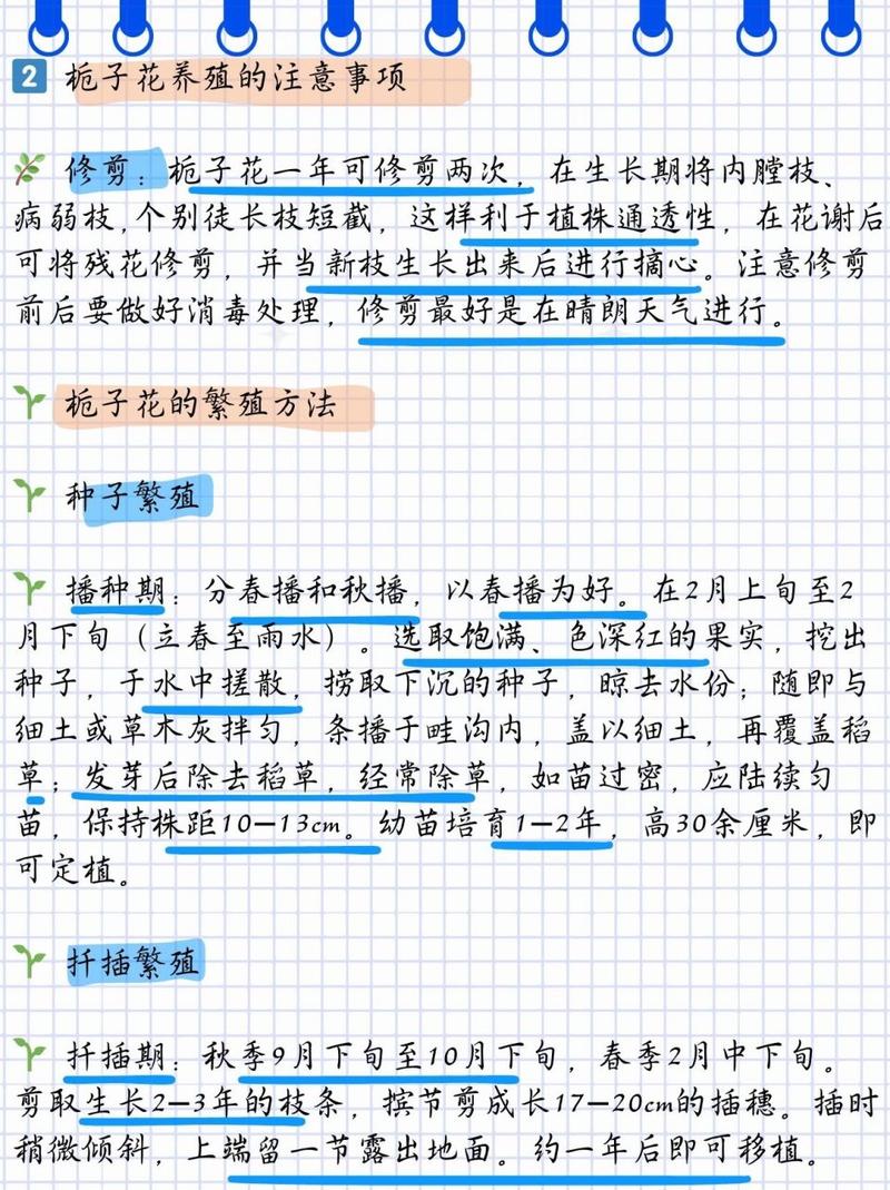 栀子花一天要浇多少水，栀子花一天要浇多少水比较好-第3张图片-优品飞百科
