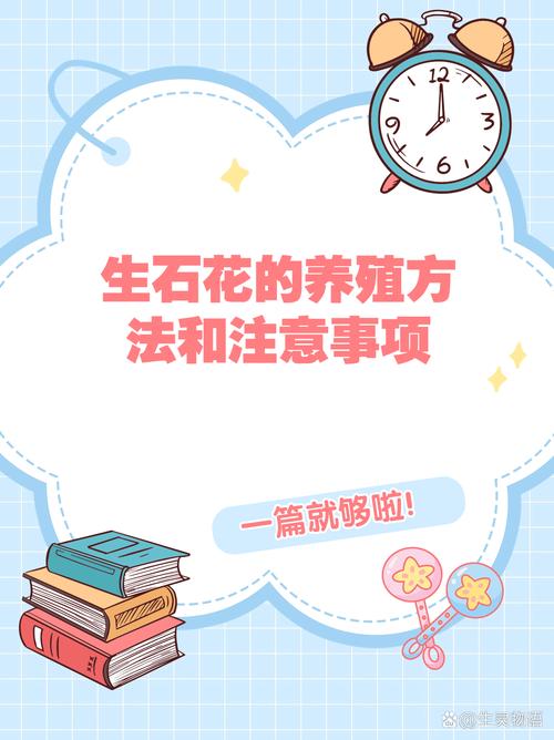 石莲花怎么养？石莲花怎么养护和浇水？-第7张图片-优品飞百科