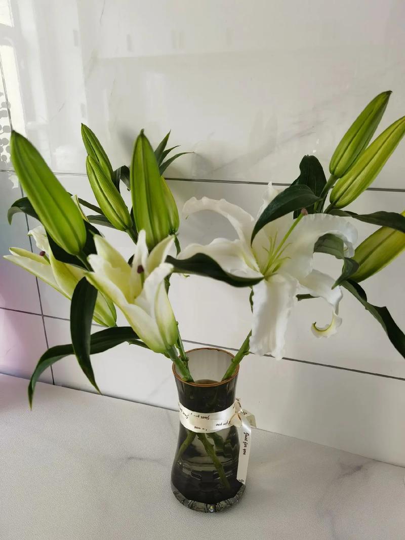 百合开完花以后怎么办？百合开完花后还能再开吗？-第6张图片-优品飞百科