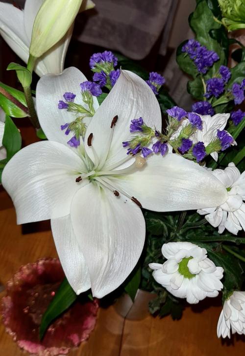 百合开完花以后怎么办？百合开完花后还能再开吗？-第7张图片-优品飞百科