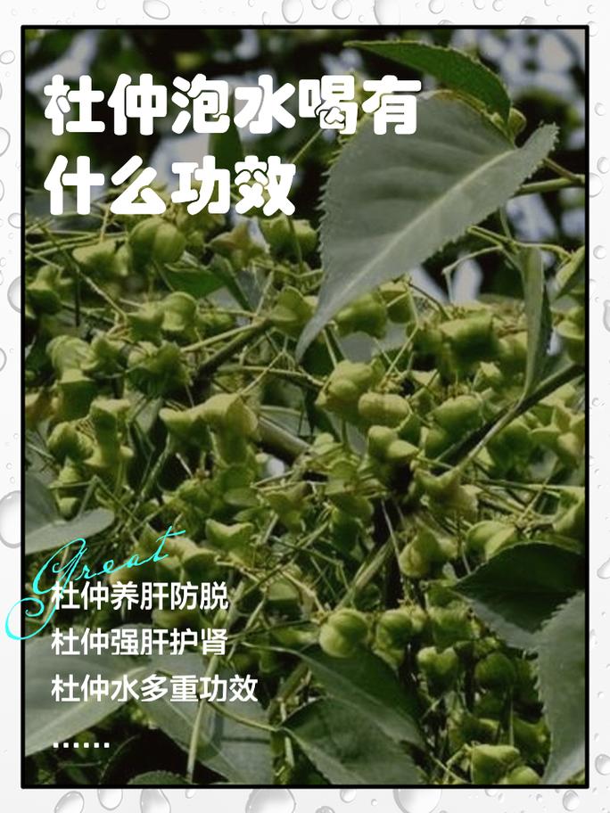 亚蜡木播种方法，白蜡木和亚花梨-第2张图片-优品飞百科