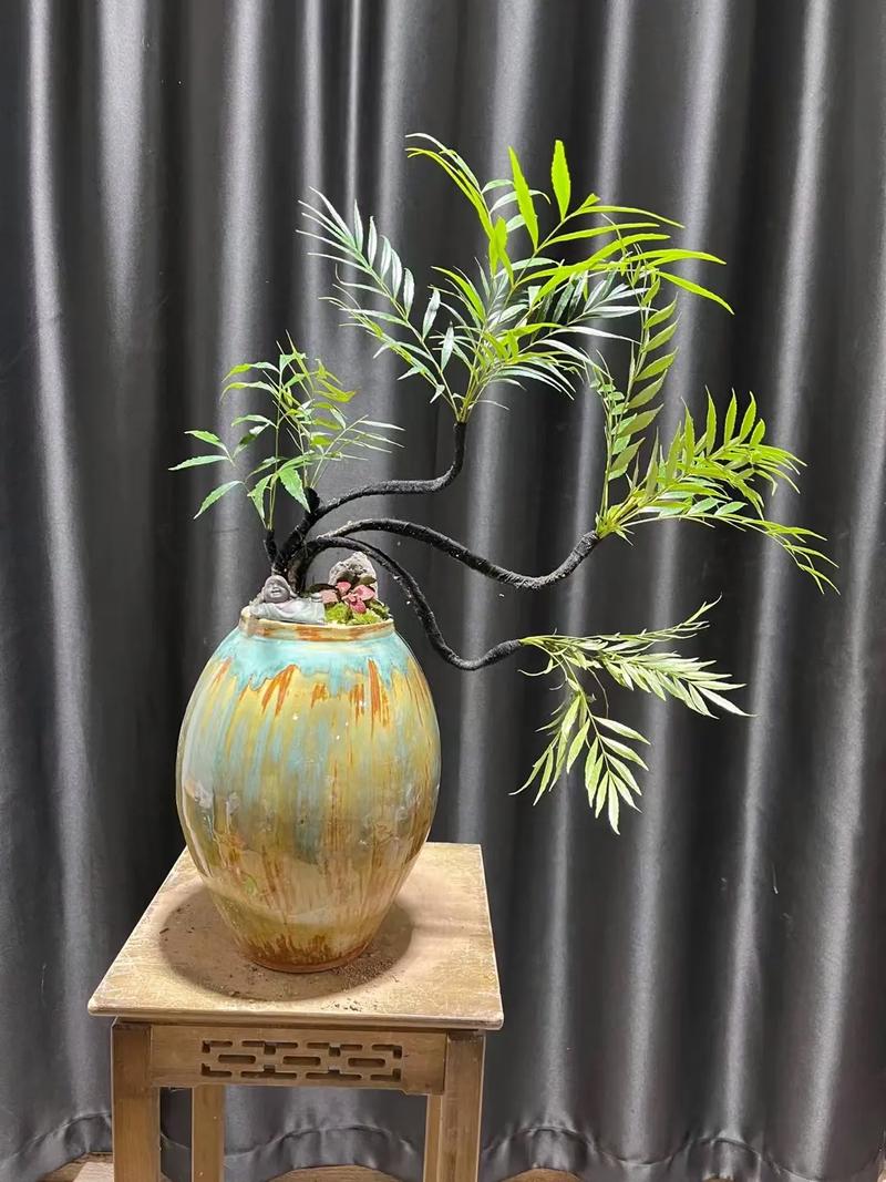 前十功劳的养殖方法？前十功劳盆景怎么养？-第6张图片-优品飞百科