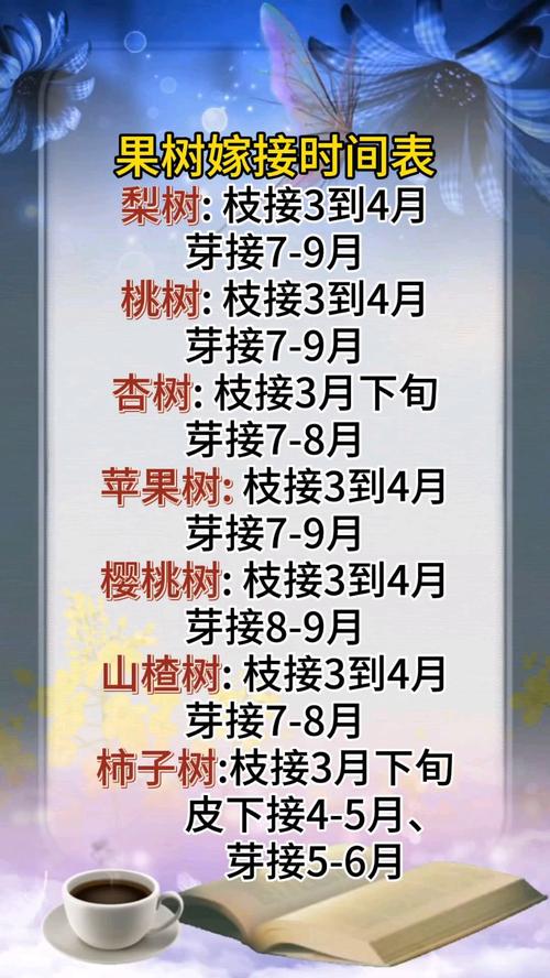 嫁接果树的最佳时间，2025年嫁接果树的最佳时间