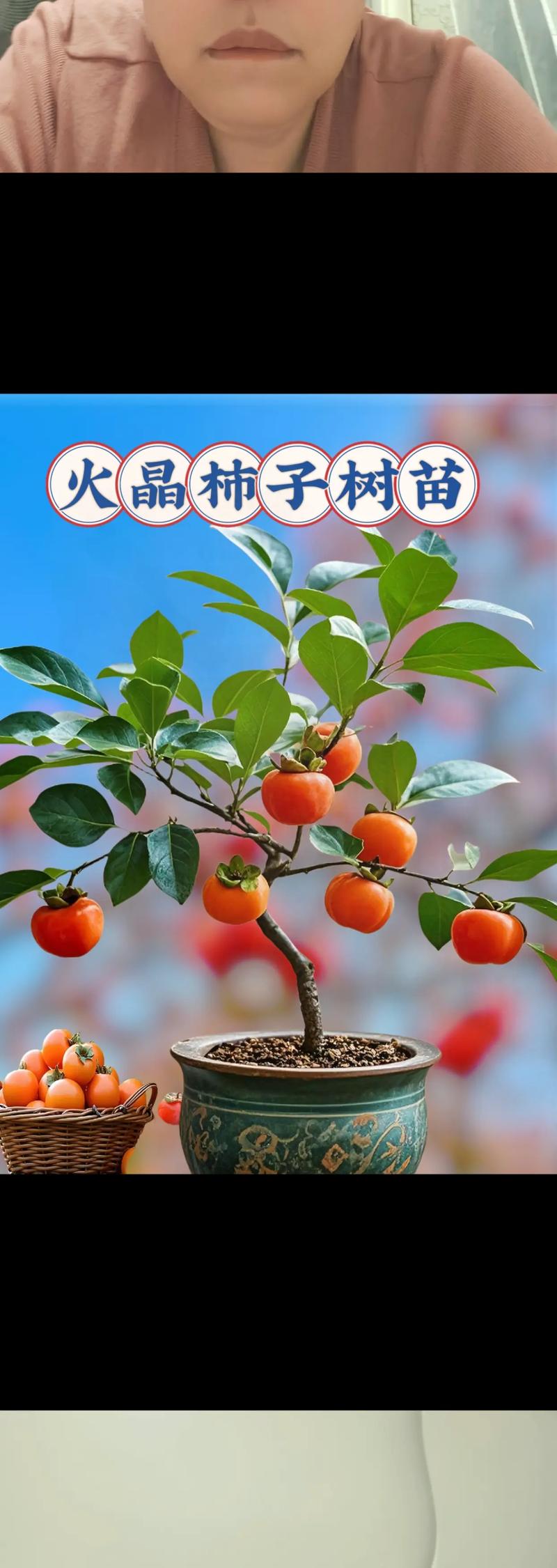 嫁接果树的最佳时间，2025年嫁接果树的最佳时间-第4张图片-优品飞百科