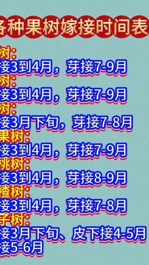 嫁接果树的最佳时间，2025年嫁接果树的最佳时间-第7张图片-优品飞百科