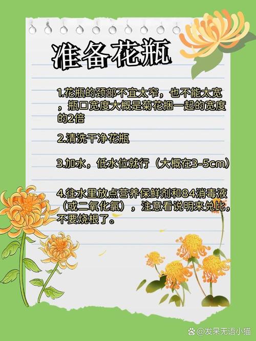 菊花怎么判断浇水多少，菊花要浇多少水？-第4张图片-优品飞百科