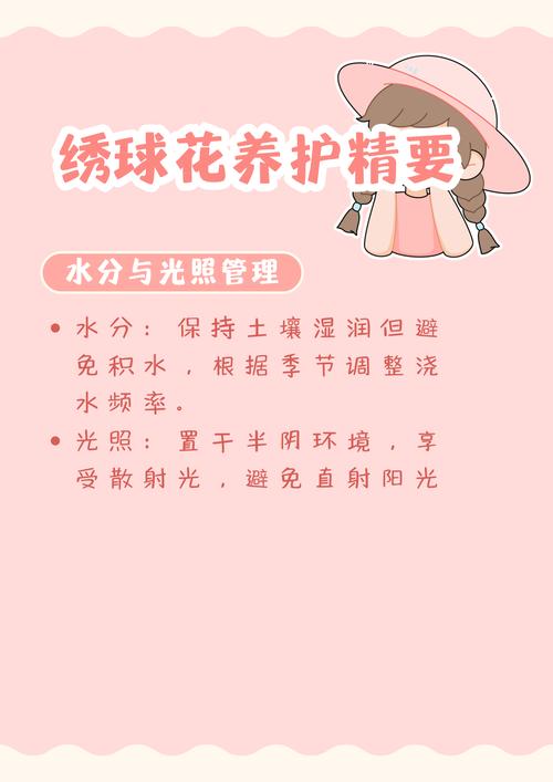 室内绣球这么养？室内 绣球？-第6张图片-优品飞百科