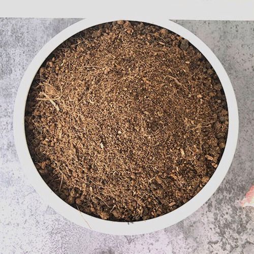 梅花用什么土栽培，梅花用什么土壤养殖？-第3张图片-优品飞百科