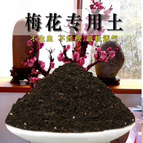 梅花用什么土栽培，梅花用什么土壤养殖？-第7张图片-优品飞百科