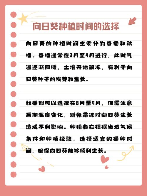 向日葵怎么养，向日葵怎么养才不会枯萎-第5张图片-优品飞百科