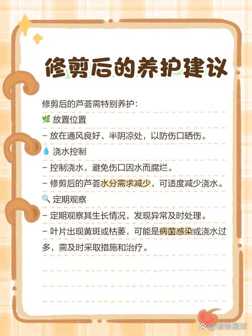 芦荟怎么修剪?芦荟怎么修剪比较好?-第5张图片-优品飞百科 芦荟怎么修剪?芦荟怎么修剪比较好?-第5张图片-优品飞百科