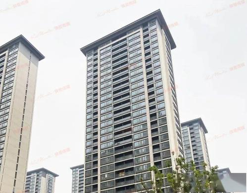 紫章的养殖方法，紫章多肉怎么繁殖-第3张图片-优品飞百科