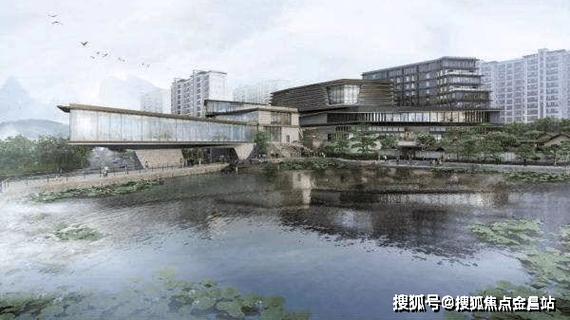 紫章的养殖方法，紫章多肉怎么繁殖-第5张图片-优品飞百科